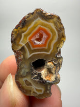 Load image into Gallery viewer, Lot of 9 Small Malawi Agate Halves – Polished Rare Colorful Collector Specimens