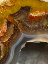 Load image into Gallery viewer, High-Grade Turkish Agate with Botryoidal Chalcedony Vug – Rare Collector’s Gem