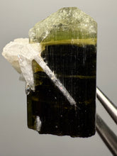 Load image into Gallery viewer, Green Cap Stak Nala Tourmaline with Cleavelandite – Haramosh Mountains, Pakistan | Thumbnail Specimen