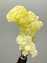 Load image into Gallery viewer, Vibrant Yellow Brucite Thumbnail Mineral Specimen | Collector Crystal from Killa Saifullah District in Balochistan Province, Pakistan