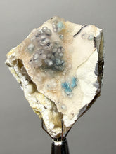 Load image into Gallery viewer, Blue-Green Chrysocolla in Botryoidal Chalcedony Cabinet Specimen | Indonesia