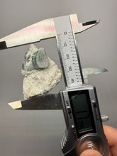Load image into Gallery viewer, Watermelon Tourmaline with Cleavelandite and Aquamarine Blue Beryl Matrix – Collector Mineral Specimen from Pakistan