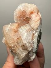 Load image into Gallery viewer, Rare Red Apophyllite Crystal Cluster – High Grade Collector Mineral Specimen | India