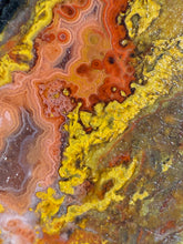 Load image into Gallery viewer, Pink Yellow Red Moroccan Agate | High Atlas Mountains •UNPOLISHED LAPIDARY SLAB