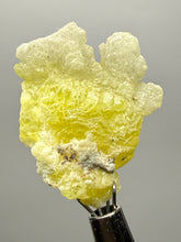 Load image into Gallery viewer, Vibrant Yellow Brucite Thumbnail Mineral Specimen | Collector Crystal from Killa Saifullah District in Balochistan Province, Pakistan