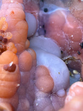 Load image into Gallery viewer, “Goblin Chalcedony” Pink & Orange Druzy Botryoidal Stalactites — Tichka Massif, High Atlas, Morocco