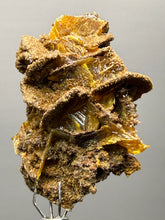 Load image into Gallery viewer, High-Grade Orange Wulfenite Collector Display Specimen | La Morita Mine, Chihuahua, Mexico