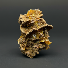 Load image into Gallery viewer, High-Grade Orange Wulfenite Collector Display Specimen | La Morita Mine, Chihuahua, Mexico