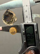 Load image into Gallery viewer, Bivalve (Pelecypoda) Fossil Sea Shell with Chalcopyrite | Mineralized Fossil Specimen | Indonesia