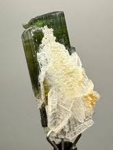 Load image into Gallery viewer, Green Cap Stak Nala Tourmaline with Cleavelandite – Haramosh Mountains, Pakistan | Thumbnail Specimen