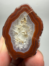 Load image into Gallery viewer, Lot of 9 Small Malawi Agate Halves – Polished Rare Colorful Collector Specimens