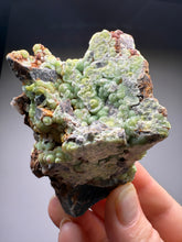 Load image into Gallery viewer, High-Grade Green Wavellite Collectors Specimen - Radiating Botryoidal Crystal Formation - Arkansas, USA