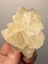 Load image into Gallery viewer, Rare Druzy Golden “Diamond” Calcite on Zeolite Matrix — Maharashtra, India | Collector Cabinet Specimen