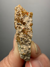 Load image into Gallery viewer, Hessonite Garnet Cluster on Matrix – Natural Collector Specimen from Pakistan | High-Grade Orange-Red Garnet Crystals