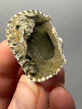 Load image into Gallery viewer, Bivalve (Pelecypoda) Fossil Sea Shell with Chalcopyrite | Mineralized Fossil Specimen | Indonesia