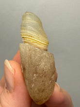 Load image into Gallery viewer, Naturally Sand-Chiseled Gobi Eye Agate | Inner Mongolia Desert Sculpted Specimen