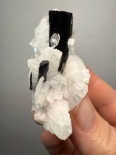 Load image into Gallery viewer, Dark Green Cap Stak Nala Tourmaline on Cleavelandite Matrix – Haramosh Mountains, Pakistan