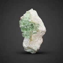 Load image into Gallery viewer, Green Radial “Disco Ball” Apophyllite | Maharashtra, India