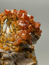 Load image into Gallery viewer, Natural Vanadinite on Matrix | Collector Mineral Specimen | Morocco