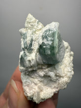Load image into Gallery viewer, Watermelon Tourmaline with Cleavelandite and Aquamarine Blue Beryl Matrix – Collector Mineral Specimen from Pakistan