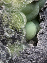 Load image into Gallery viewer, High-Grade Green Wavellite Collectors Specimen - Radiating Botryoidal Crystal Formation - Arkansas, USA