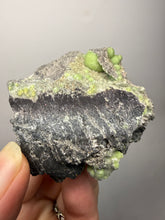 Load image into Gallery viewer, High-Grade Green Wavellite Collectors Specimen - Radiating Botryoidal Crystal Formation - Arkansas, USA