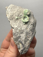 Load image into Gallery viewer, High-Grade Green Wavellite Collectors Specimen - Radiating Botryoidal Crystal Formation - Arkansas, USA