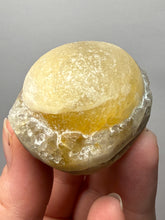 Load image into Gallery viewer, Rare Botryoidal Yellow Fluorite on Quartz Matrix Collector Mineral Specimen – Maharashtra, India