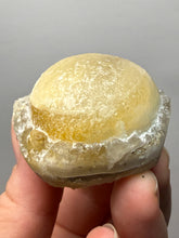 Load image into Gallery viewer, Rare Botryoidal Yellow Fluorite on Quartz Matrix Collector Mineral Specimen – Maharashtra, India