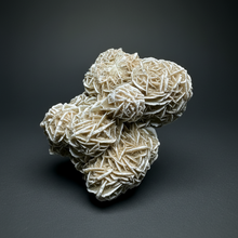 Load image into Gallery viewer, Desert Rose Selenite (Gypsum) — Mineral Display Specimen | Mexico