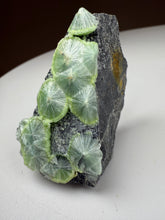 Load image into Gallery viewer, Green Wavellite Cluster Mineral Specimen • Arkansas, USA