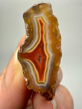 Load image into Gallery viewer, Polished Malawi Agate Half – High-Grade African Banded Agate Display Specimen