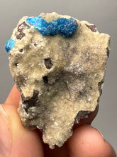 Load image into Gallery viewer, Rare Electric Blue Pentagonite on Druzy Matrix – Collector Mineral Specimen | India