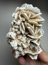 Load image into Gallery viewer, Desert Rose Selenite (Gypsum) — Mineral Display Specimen | Mexico