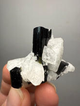 Load image into Gallery viewer, Dark Green Cap Stak Nala Tourmaline on Cleavelandite Matrix – Haramosh Mountains, Pakistan