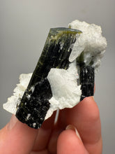 Load image into Gallery viewer, Blue Cap Dark Green Stak Nala Tourmaline on Cleavelandite Matrix – Haramosh Mountains, Pakistan