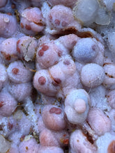 Load image into Gallery viewer, “Goblin Chalcedony” Pink & Orange Druzy Botryoidal Stalactites — Tichka Massif, High Atlas, Morocco