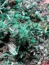 Load image into Gallery viewer, Brochantite Collector Mineral Specimen – Vivid Green Copper Crystals from Morocco