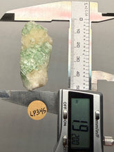 Load image into Gallery viewer, Green Radial “Disco Ball” Apophyllite | Maharashtra, India