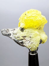 Load image into Gallery viewer, Vibrant Yellow Brucite Thumbnail Mineral Specimen | Collector Crystal from Killa Saifullah District in Balochistan Province, Pakistan