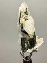 Load image into Gallery viewer, Green Cap Stak Nala Tourmaline with Cleavelandite – Haramosh Mountains, Pakistan | Thumbnail Specimen