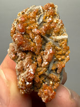 Load image into Gallery viewer, Natural Vanadinite on Matrix | Collector Mineral Specimen | Morocco