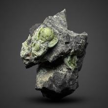 Load image into Gallery viewer, High-Grade Green Wavellite Collectors Specimen - Radiating Botryoidal Crystal Formation - Arkansas, USA