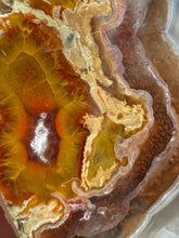 Load image into Gallery viewer, High-Grade Turkish Agate with Botryoidal Chalcedony Vug – Rare Collector’s Gem