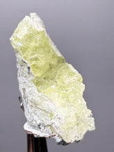 Load image into Gallery viewer, Vibrant Yellow Brucite Thumbnail Mineral Specimen | Collector Crystal from Killa Saifullah District in Balochistan Province, Pakistan
