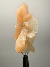 Load image into Gallery viewer, High-Grade Apophyllite on Pink Stilbite Zeolite | Indian Collector Mineral Specimen