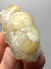 Load image into Gallery viewer, Rare Botryoidal Yellow Fluorite on Quartz Matrix Collector Mineral Specimen – Maharashtra, India