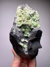 Load image into Gallery viewer, High-Grade Green Wavellite Collectors Specimen - Radiating Botryoidal Crystal Formation - Arkansas, USA