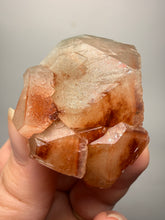 Load image into Gallery viewer, Rare Red Apophyllite Crystal Cluster – High Grade Collector Mineral Specimen | India