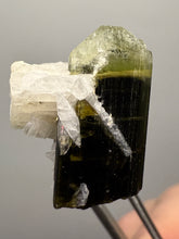 Load image into Gallery viewer, Green Cap Stak Nala Tourmaline with Cleavelandite – Haramosh Mountains, Pakistan | Thumbnail Specimen